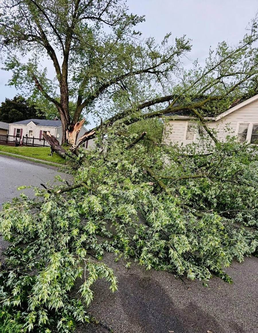 Tree removal job - Kutsch Tree Service crew in Dubuque, IA