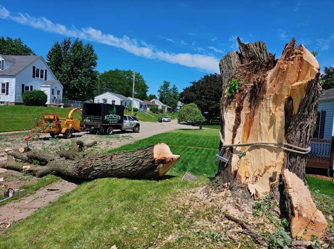 Tree trimming work by Kutsch Tree Service - Dubuque area