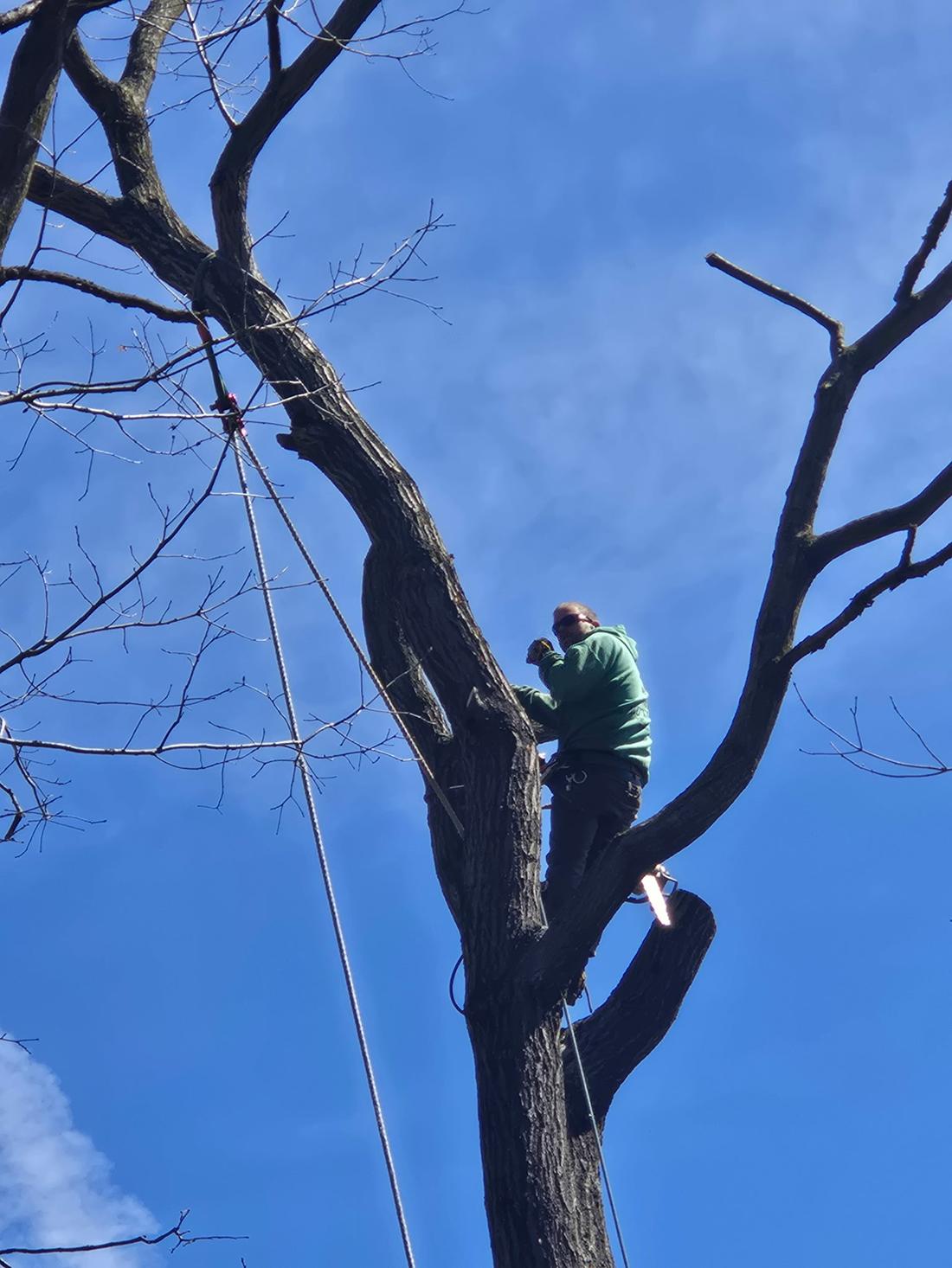 Storm damage cleanup by Kutsch Tree Service - Iowa