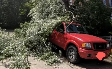 Storm Damage Clean Up