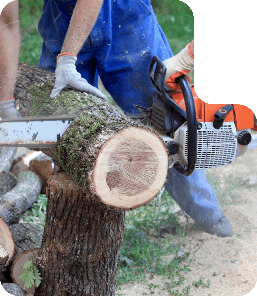 Stump Grinding